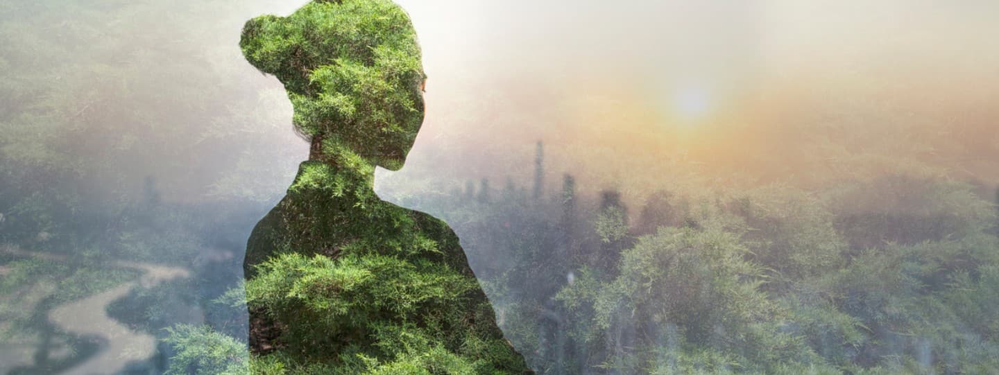 Meditative Martial Arts