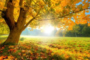 Fall Meditation Retreat